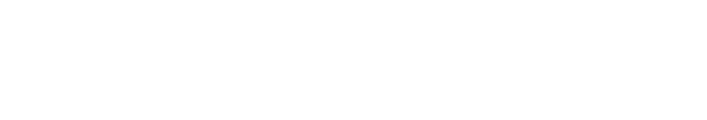 Punt